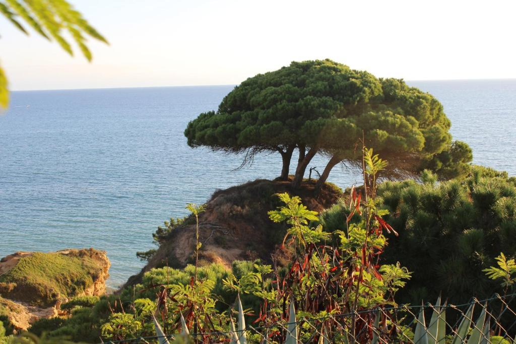 Alfagar Village Albufeira Exterior photo